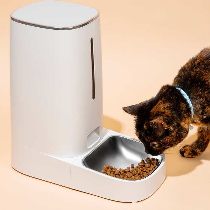 ცხოველებისთვის